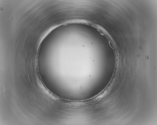 X0000052600860200507221632