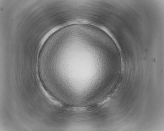 X0000052600861200507221632