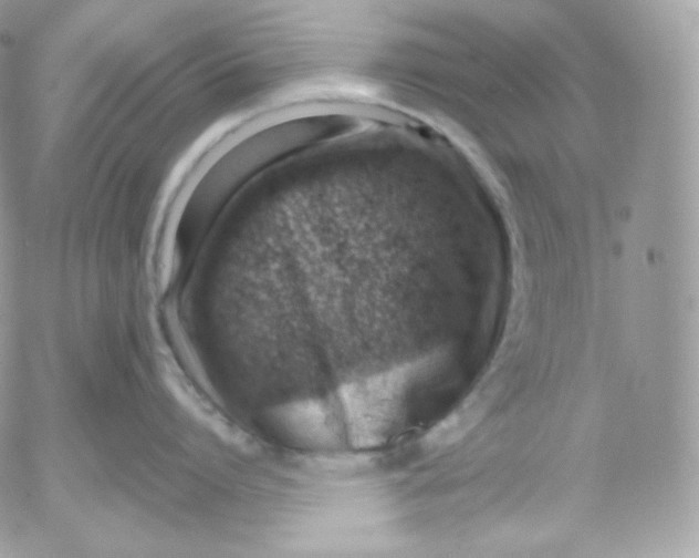 X0000052600864200507221632