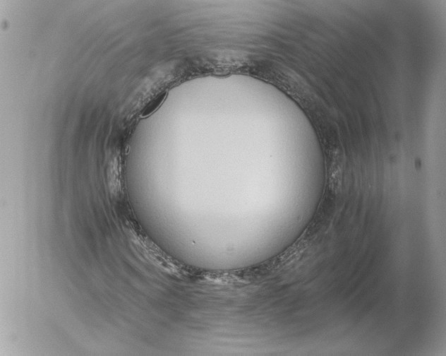 X0000052600866200507221631