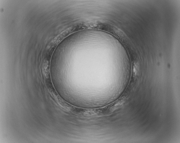 X0000052600867200507221631