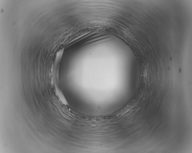 X0000052600868200507221631