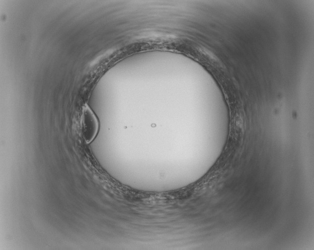 X0000052600869200507221631