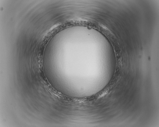 X0000052600870200507221631