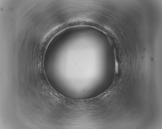 X0000052600872200507221631