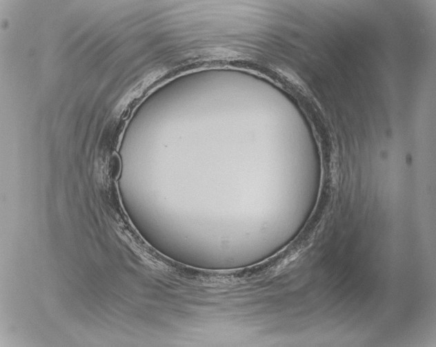 X0000052600873200507221631