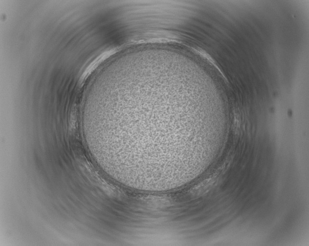 X0000052600874200507221631