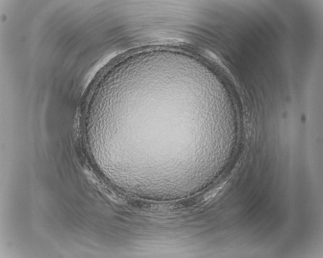 X0000052600875200507221631