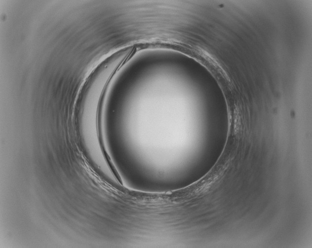 X0000052600876200507221631