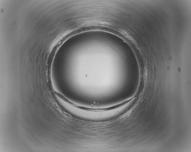 X0000052600877200507221631