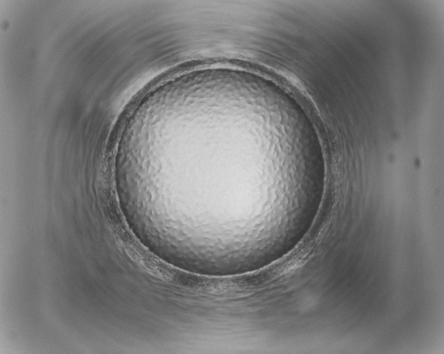 X0000052600879200507221631