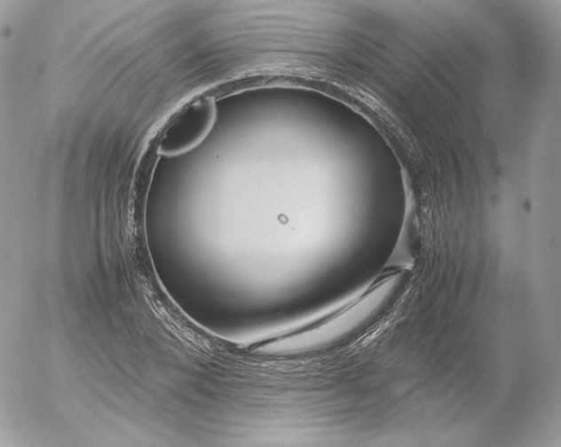 X0000052600880200507221631