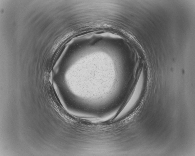 X0000052600881200507221631