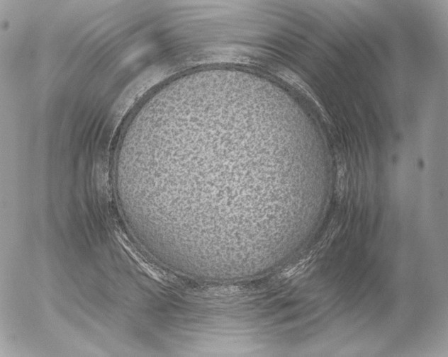 X0000052600882200507221631