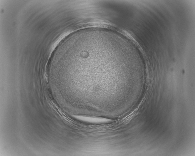 X0000052600883200507221631