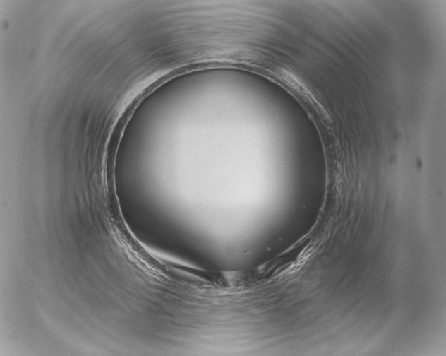 X0000052600884200507221631