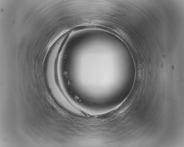 X0000052600885200507221631