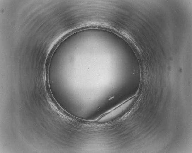 X0000052600888200507221631