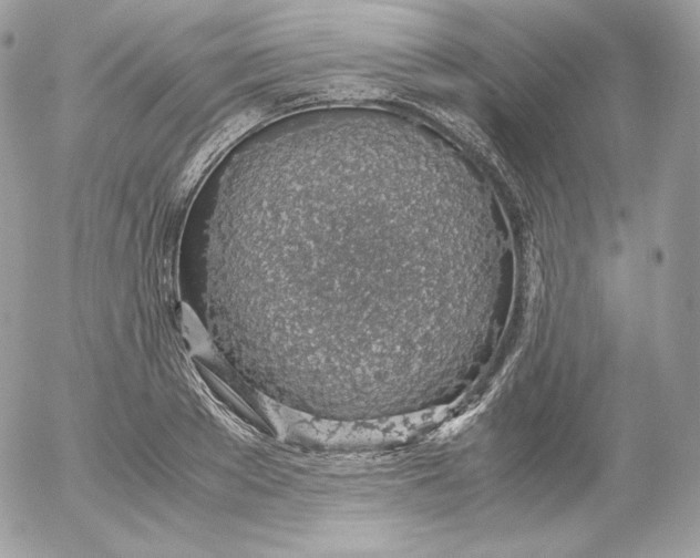 X0000052600889200507221631