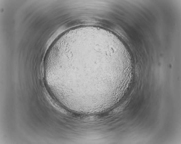 X0000052600891200507221631