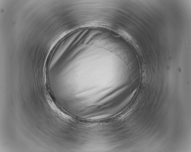 X0000052600892200507221631