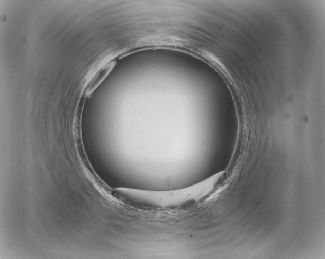 X0000052600893200507221631