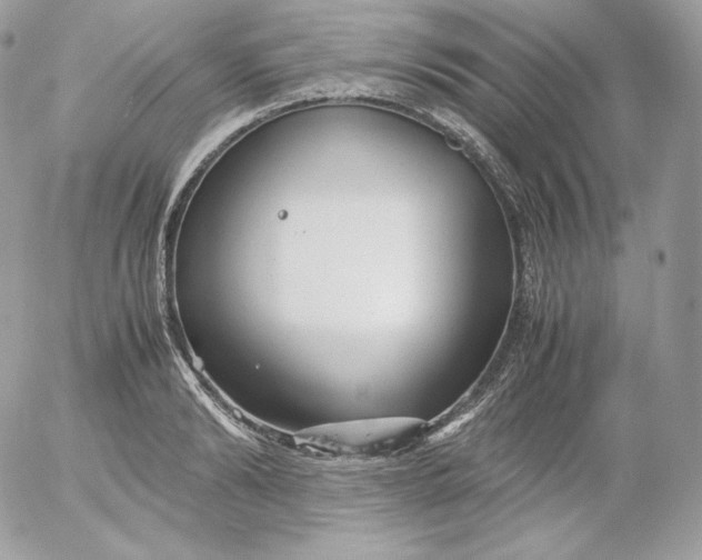 X0000052600894200507221631