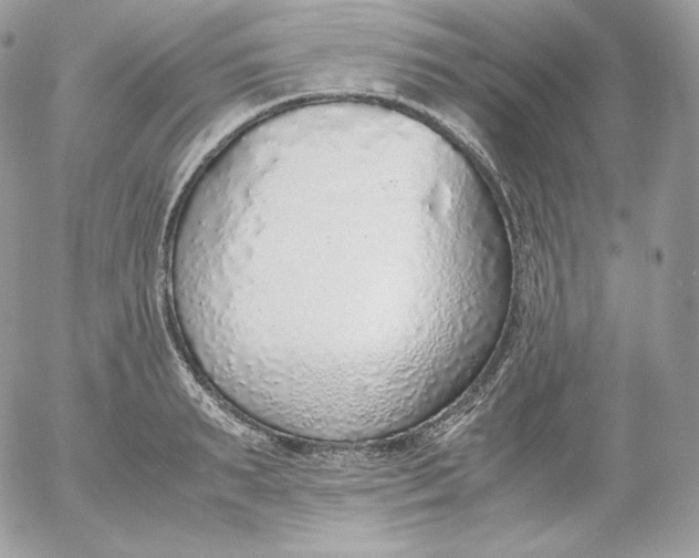 X0000052600895200507221631