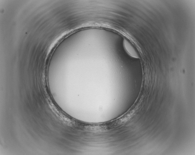 X0000052600896200507221631