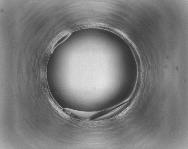 X0000052600897200507221631