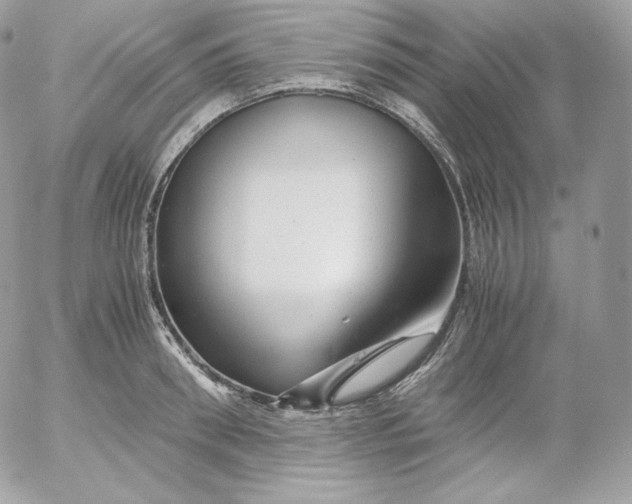 X0000052600898200507221631