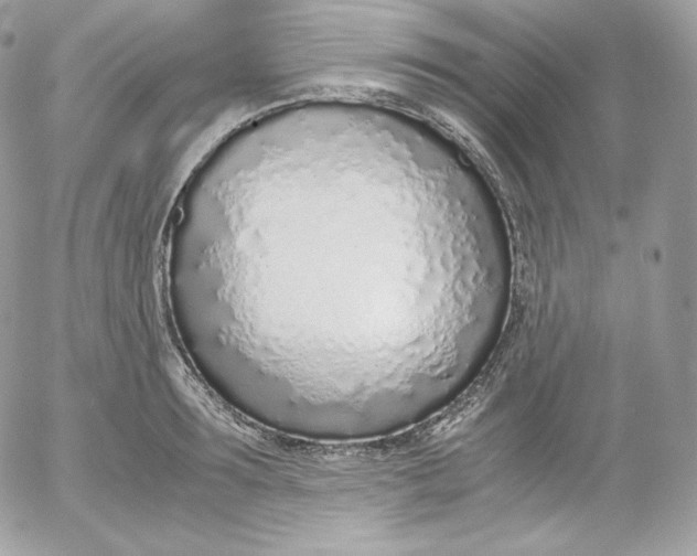 X0000052600899200507221631