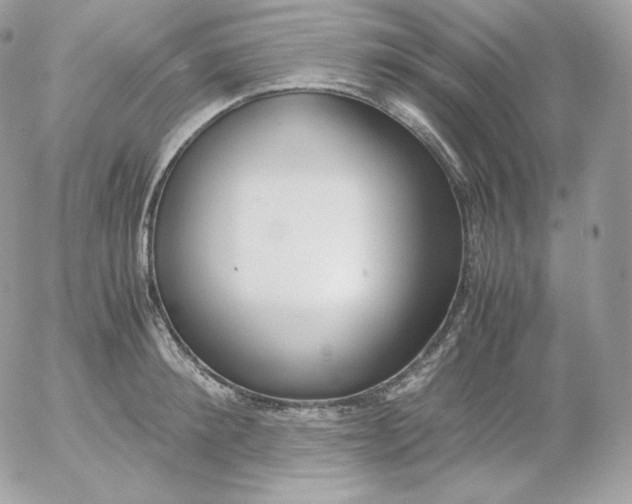 X0000052600900200507221631