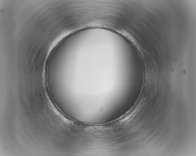 X0000052600902200507221631