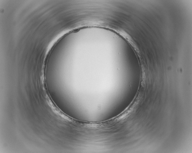 X0000052600904200507221631