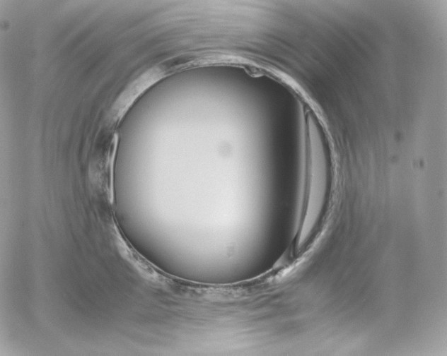 X0000052600905200507221631