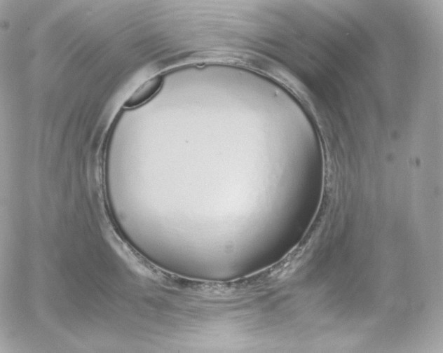 X0000052600907200507221631