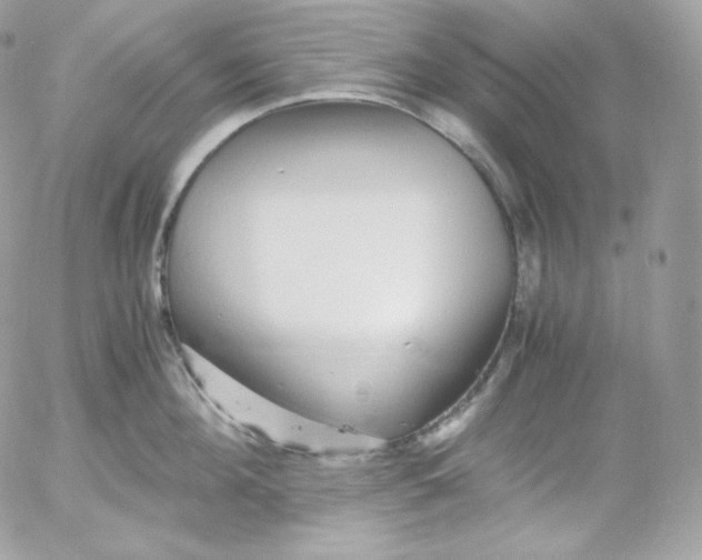 X0000052600908200507221631