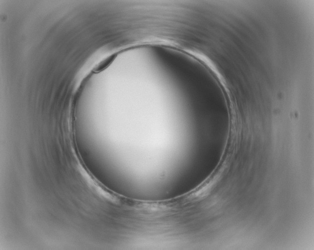 X0000052600910200507221631