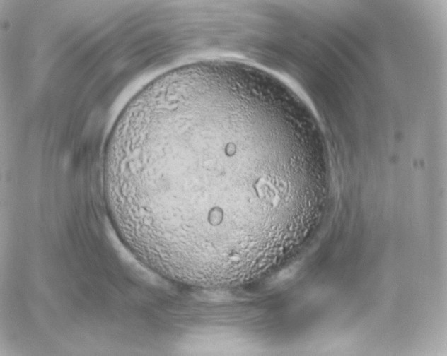 X0000052600911200507221631