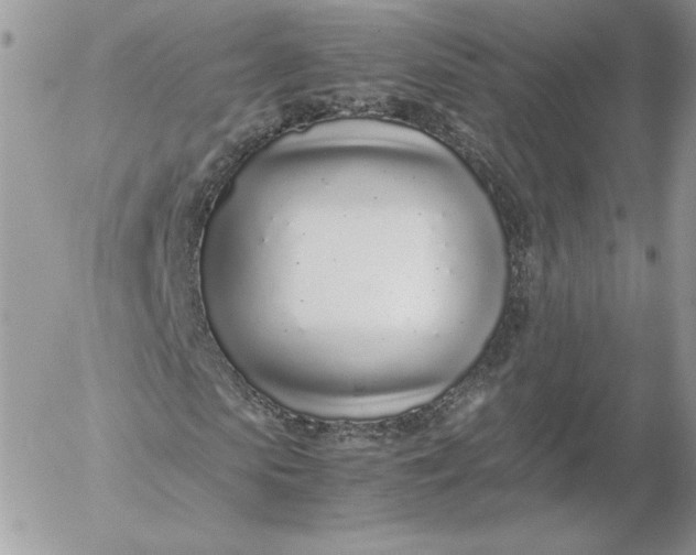 X0000052600913200507221630