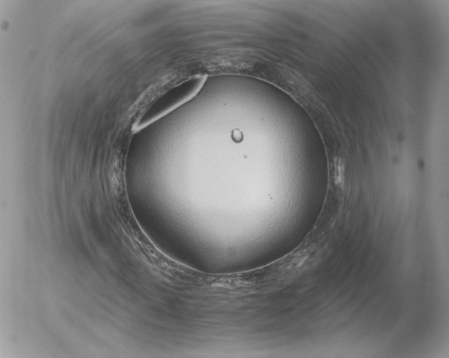 X0000052600915200507221630