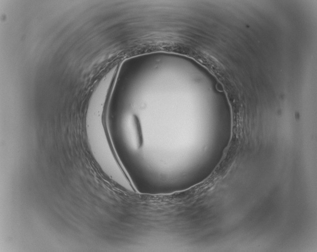 X0000052600917200507221630