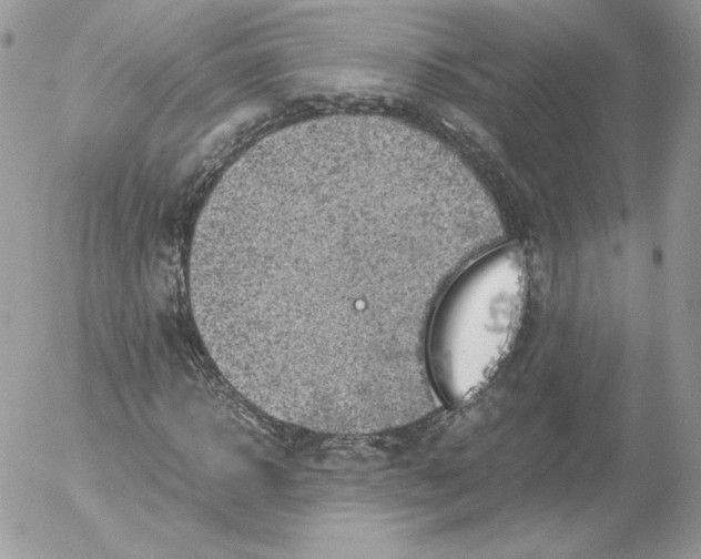 X0000052600918200507221630