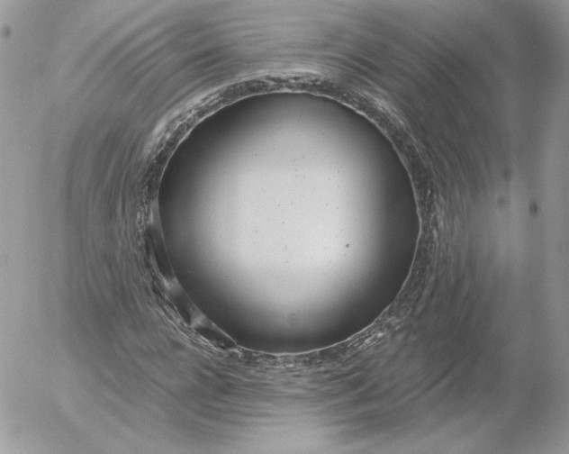 X0000052600920200507221630