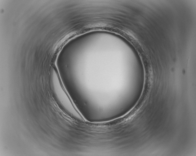 X0000052600921200507221630