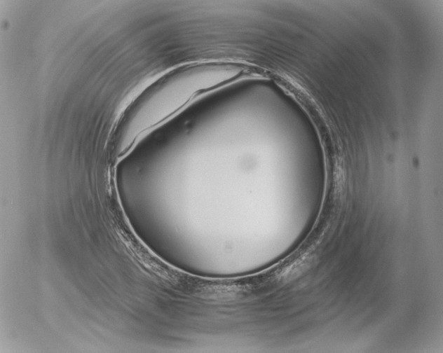 X0000052600925200507221630