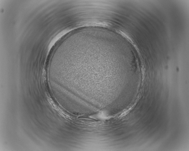 X0000052600928200507221630