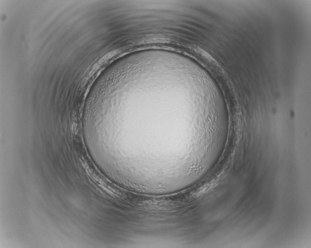 X0000052600929200507221630