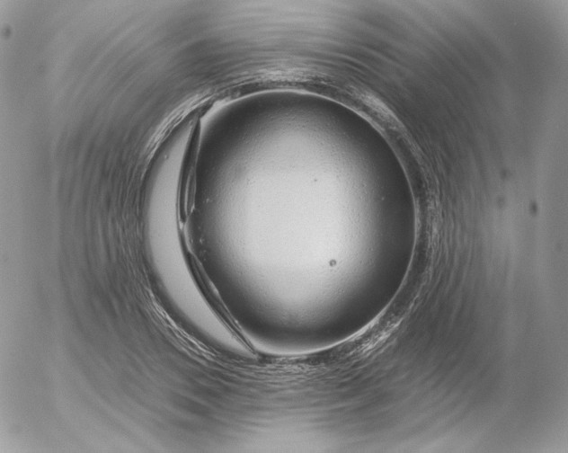 X0000052600930200507221630